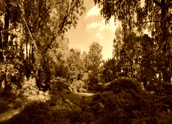 Sepia