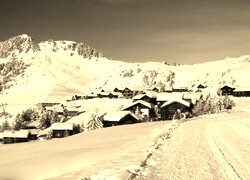 Szary + Sepia