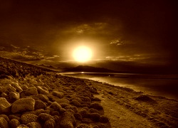 Sepia