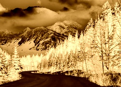 Sepia + Negatyw