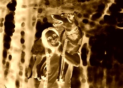 Sepia + Negatyw