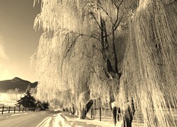 Sepia