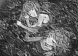 Skamielina
