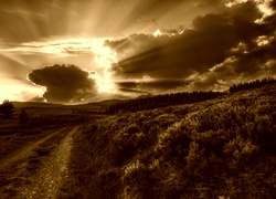 Sepia
