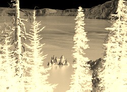 Sepia + Negatyw