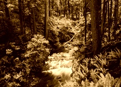 Sepia