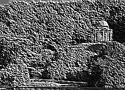 Skamielina