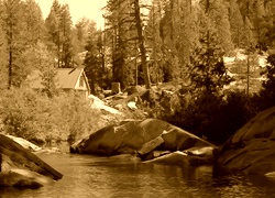 Sepia