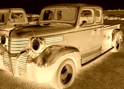Sepia + Negatyw