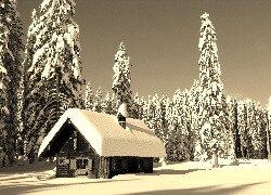 Szary + Sepia