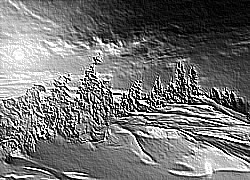 Skamielina