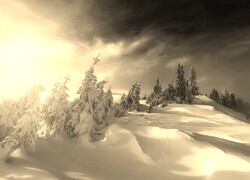 Szary + Sepia