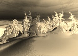 Sepia + Negatyw
