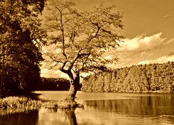 Sepia