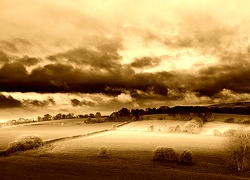 Sepia