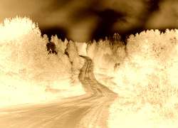 Sepia + Negatyw