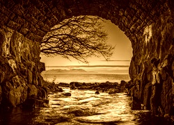 Sepia