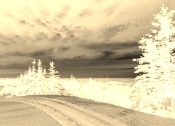 Sepia + Negatyw