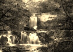 Sepia