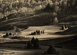 Szary + Sepia