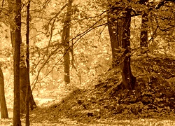 Sepia