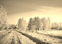 Szary + Sepia
