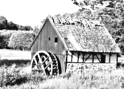 Szary + Sepia