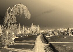 Sepia + Negatyw
