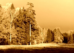 Sepia