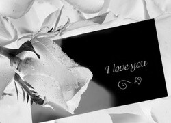 Szary + Negatyw