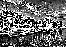 Skamielina