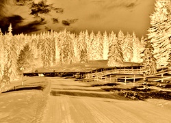 Sepia + Negatyw