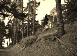 Szary + Sepia