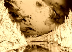 Sepia + Negatyw