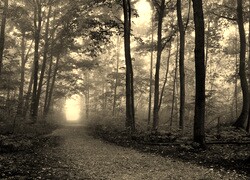 Sepia