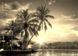 Szary + Sepia