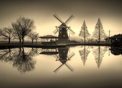 Szary + Sepia