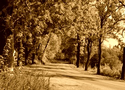 Sepia