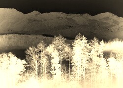 Sepia + Negatyw