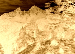 Sepia + Negatyw