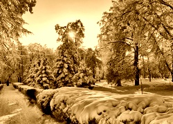 Sepia