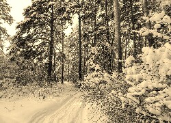 Sepia