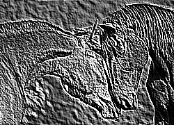 Skamielina