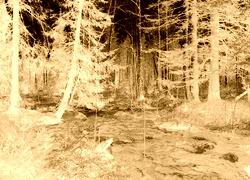 Sepia + Negatyw