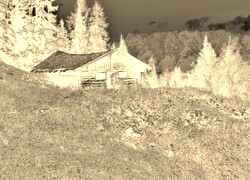 Sepia + Negatyw