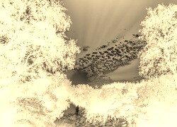 Sepia + Negatyw