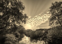 Sepia