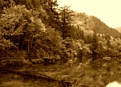 Sepia