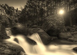 Szary + Sepia