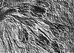 Skamielina